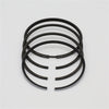 Set segmenti (1,00 - Diametru: 101,00 mm): LOMBARDINI / LDA 100 / 4LD 705 / Nr. referinta: 8210 051