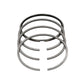 Set segmenti piston (1,00 - OVERSIZE - Diametru: 101,00 mm) : LOMBARDINI / LDA 832 / LDA 833 / LDA 834 / 5LD 825-2;3;4 / Nr. referinta: 8210 069