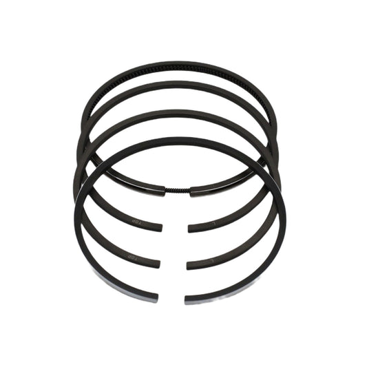 Set segmenti (1,00 - Diametru: 101,00 mm): LOMBARDINI / LDA 100 / 4LD 705 / Nr. referinta: 8210 051