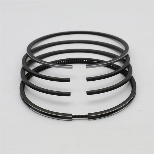 Set segmenti (1.00 - Diametru: 101.00 mm): SAME / LAMBORGHINI / FL 1002 / FL 1003 / Nr. referinta: 0.311.0054.4