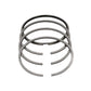 Set segmenti (1,00 - Diametru: 107,00 mm): LOMBARDINI / 5LD 930-3;4 / Nr. referinta: 8211 235