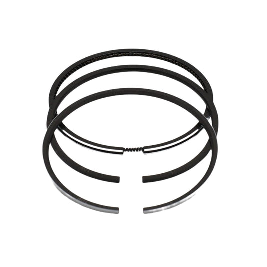 Set segmenti (1,00 - Diametru: 76,00 mm): LOMBARDINI / LDW 702 / LDW 1003 / LDW 1404 / Nr. referinta: 8211 250