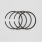 Set segmenti (1,00 - Diametru: 79,00 mm): LOMBARDINI / 6LD 325 / LDA 520 / Nr. referinta: 8210 082 (4R)
