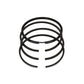 Set segmenti (1,00 - Diametru: 79,00 mm): LOMBARDINI / 6LD 325 / LDA 520 / Nr. referinta: 8210 082 (4R)
