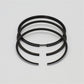 Set segmenti (1,00 - Diametru: 79,00 mm): LOMBARDINI / 6LD 325 / Nr. referinta: 8211 080 (3R)