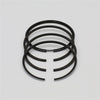 Set segmenti (1,00 - Diametru: 79,00 mm): LOMBARDINI / 6LD 325 / LDA 520 / Nr. referinta: 8210 082 (4R)