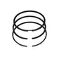 Set segmenti piston (1.00-OVERSIZE - Diametru: 79.00 mm): RUGGERINI / RY 70
