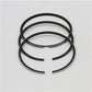 Set segmenti piston (1.00-OVERSIZE - Diametru: 81.00-OVERSIZE mm) : RUGGERINI / MD 150