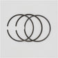 Set segmenti piston (1.00-OVERSIZE - Diametru: 81.00-OVERSIZE mm) : RUGGERINI / MD 150