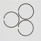 Set segmenti piston (1.00-OVERSIZE - Diametru: 83.00 mm): RUGGERINI / RY 75 / RY 103