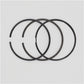 Set segmenti piston (1.00-OVERSIZE - Diametru: 87.00 mm): RUGGERINI / RY 110