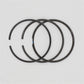 Set segmenti (1.00 - Diametru: 88.00 mm): RUGGERINI / RY 120