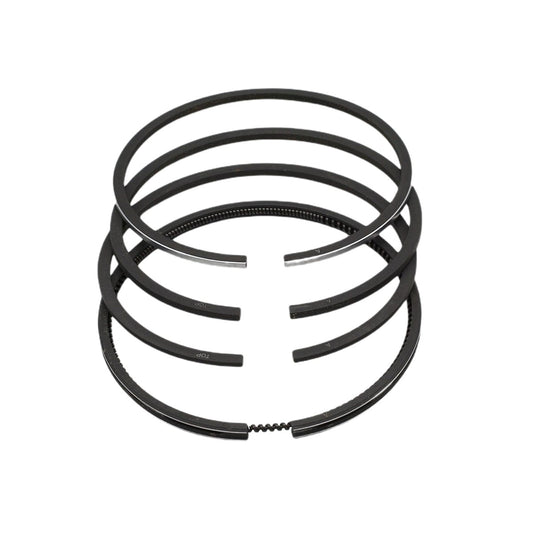Set segmenti (1,00 - Diametru: 93,00 mm): RUGGERINI / RD 920 / RD 240 / RD 248 / Nr. referinta: 2276