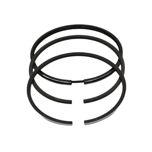 Set segmenti (1,00 - Diametru: 96,00 mm): LOMBARDINI / 7LD 665 / 8LD 665-2 / 9LD 625-2 /11LD 625-3 / Nr. referinta: 8211 211