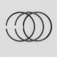 Set segmenti (1,00 - Diametru: 96,00 mm): RUGGERINI / RD 290