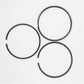 Set segmenti (1,00 - Diametru: 99,425 mm): LISTER / TR-1 / TR-2 / TR-3