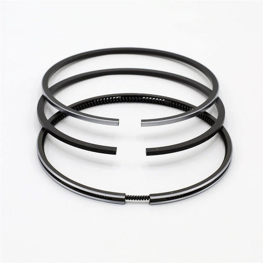 Set segmenti (1,00 - Diametru: 99,425 mm): LISTER / TR-1 / TR-2 / TR-3