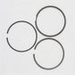 Set segmenti (1.00): HATZ / E79 / Nr. referinta: 005 731 10
