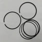 Set segmenti piston (0,60-OVERSIZE - 81,10 mm): FIAT (BENZINĂ)