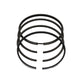 Set segmenti piston (STD - Diametru: 100.00 mm): LOMBARDINI / LDA 100 / 4LD 705 / Nr. referinta: 8210 049