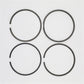 Set segmenti (STD - Diametru: 100.00 mm): RUGGERINI / CRD 100 / RP 170 / CRD 100-2 / RP 320 / Nr. referinta: 2188