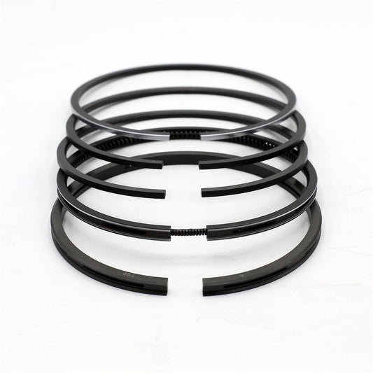Set segmenti (STD - Diametru: 100.00 mm): SAME / LAMBORGHINI / DA 1002 V / DA 1004 V / Nr. referinta: 0.024.0052.4/10