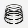 Set segmenti (STD - Diametru: 101,65 mm): LISTER / HA-2 / HA-3 / HA-4 / HA-6 / HB-2 / HB-3 / HB-4 / HB-6 / HW-2 / HW-3 / HW-4 / HW-6 / ⟦ 62⟧ 190⟧
