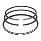 Set segmenti (STD - Diametru: 102,00 mm): MWM / D 229 / TD 229 / Nr. referinta: 622900190017