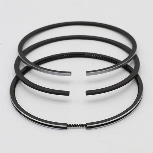 Set segmenti (STD - Diametru: 102,00 mm): MWM / D 229 / TD 229 / Nr. referinta: 622900190017