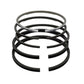 Set segmenti (STD - Diametru: 76,20 mm): LISTER / PA-1 / PAZ-1 / Nr. referinta: 391460