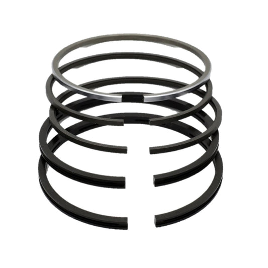 Set segmenti (STD - Diametru: 76,20 mm): LISTER / PA-1 / PAZ-1 / Nr. referinta: 391460