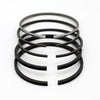 Set segmenti piston (1,00 - Diametru: 77,20 mm): LISTER / LD-1 / LD-2 / LD-3