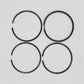 Set segmenti piston (STD - Diametru: 82.00 mm): LOMBARDINI / 6LD 360 / LDA 530 / Nr. referinta: 8210 086 (4R)