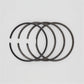 Set segmenti (0,60 - Diametru: 95,60 mm): VM / 195 SV / 295 SV / 395 SV / Nr. referinta: 10270005A