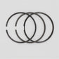 Set segmenti piston (STD - Diametru: 95.00 mm): RUGGERINI / RD 290