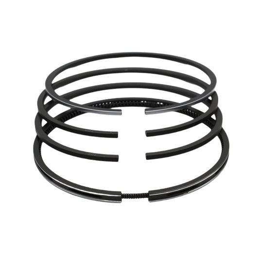Set segmenti (STD - Diametru:100.00 mm): SAME / LAMBORGHINI / 1003 P / 1004 P / 1006 P / Nr. referinta: 0.072.0052.6