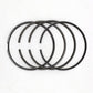 Set segmenti (STD - Diametru:100.00 mm): SAME / LAMBORGHINI / 1003 P / 1004 P / 1006 P / Nr. referinta: 0.072.0052.6