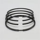 Set segmenti (STD - Diametru:100.00 mm): SAME / LAMBORGHINI / 1003 P / 1004 P / 1006 P / Nr. referinta: 0.072.0052.6