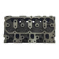 Chiulasa: YANMAR / 3YM20 / Nr. referinta: 119515-11750