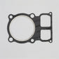 Garnitura chiulasa (1.00 mm): LOMBARDINI / 15LD 440 / Nr. referinta: 4730 754
