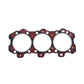 Garnitura chiulasa: LISTER/LPW-3