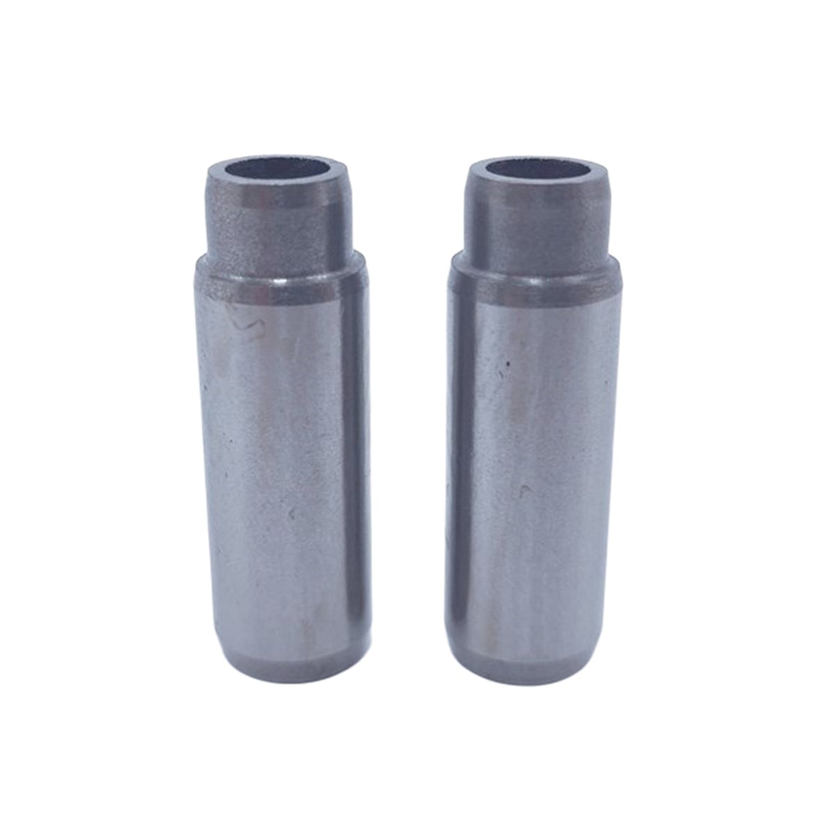 Set ghidaje supapa (In+Ex): LOMBARDINI / LDW 1503 / LDW 1603 / LDW 2004 / LDW 2004T / Nr. referinta: 4845 251 + 4845 251