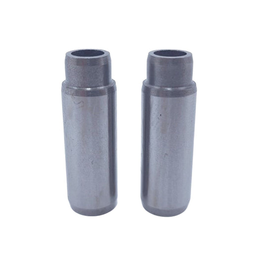 Set ghidaje supapa (In+Ex): LOMBARDINI / LDW 1503 / LDW 1603 / LDW 2004 / LDW 2004T / Nr. referinta: 4845 251 + 4845 251