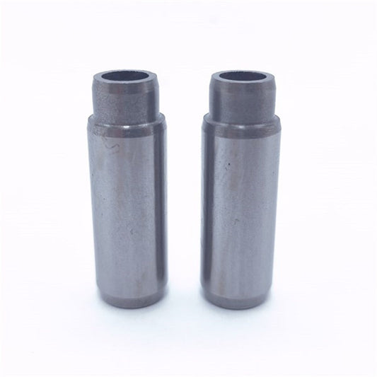 Set ghidaje supapa (In+Ex): LOMBARDINI / LDW 1503 / LDW 1603 / LDW 2004 / LDW 2004T / Nr. referinta: 4845 251 + 4845 251
