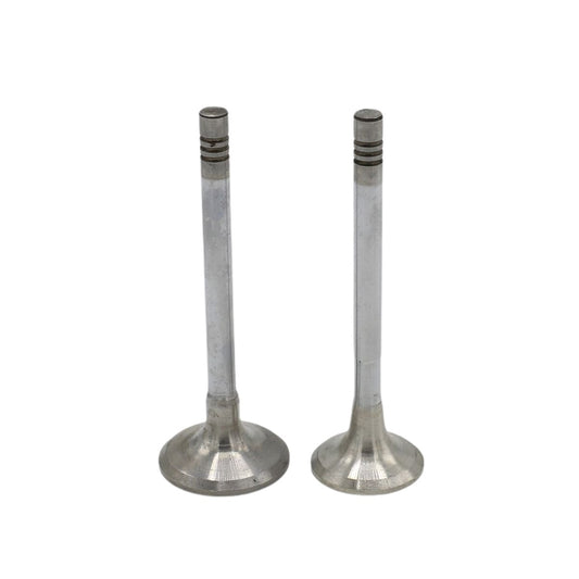 Supapa SET (Em+Eg): HATZ / 1B20 / 1B27 / Nr. referinta: 050 532 00+533 00