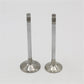 Supapa SET (Em+Eg): HATZ / 1B30 / Nr. referinta: 050 930 00+931 00