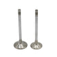 Supapa SET (Em+Eg): HATZ / 1B30 / Nr. referinta: 050 930 00+931 00