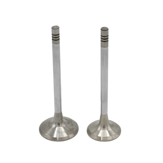 Supapa SET (Em+Eg): HATZ / 1B30 / Nr. referinta: 050 930 00+931 00