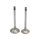 Supapa SET (Em+Eg): HATZ / 1D41 / 1D42 / 1D50 / Nr. referinta: 042 468 00+469 00