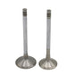 ENGINE Supapa SET (In+Ex) : HATZ / 1D81 / 1D90 / Nr. referinta: 040 910 01+911 00